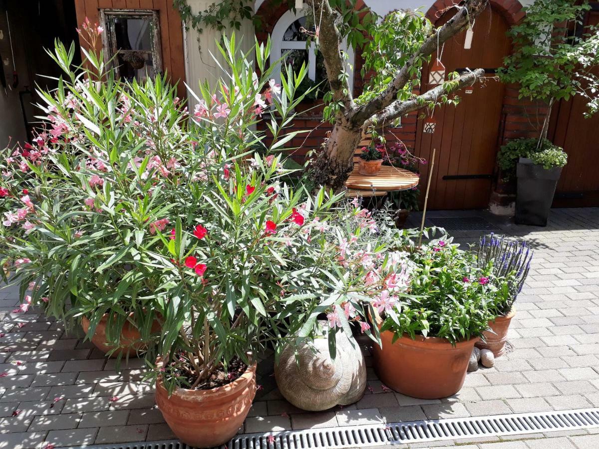 קדלינבורג Apartment Zeitreise מראה חיצוני תמונה